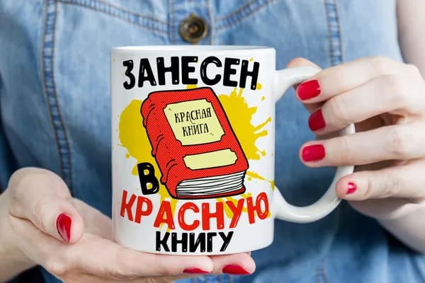 Кружка ДарNeo  прикол, Занесён в красную книгу, чашка другу, пиала парню
