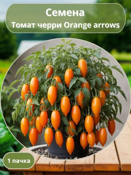 Томат черри Orange arrows, семена 10 шт