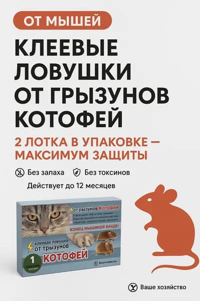 Клеевые ловушки Котофей - 2 лотка в упаковке, защита от мышей и крыс без запаха и токсинов