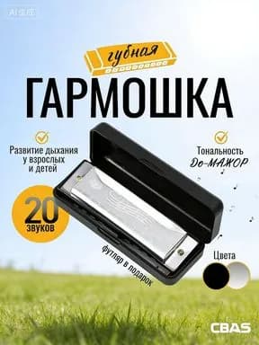 Губная гармошка диатоническая, серебряная