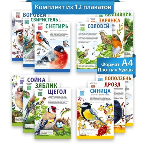 Набор обучающих плакатов Птицы 12 шт формат А4