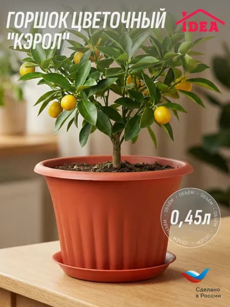 Горшок для цветов 0,45л с поддоном, КЭРОЛ IDEA, Терракотовый