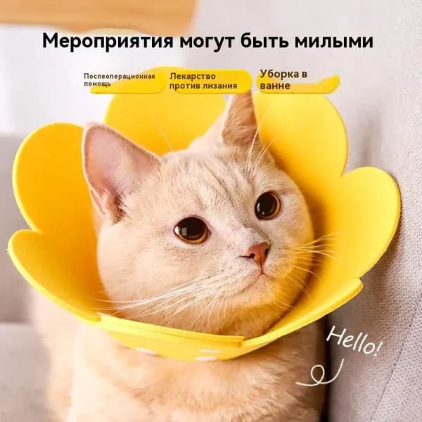 Ошейник ветеринара для кошек и собак