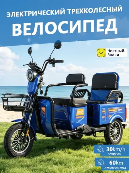 Электротрицикл DEERJIAN DEJ-Q2BL, 2 места для сидения, мощность 1000 Вт, пробег до 50 км, пассажирско-грузовой, новинка 2026 года Уцененный товар