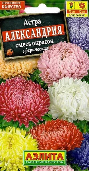 Семена Астра Александрия, смесь окрасок (0,2г) - Аэлита