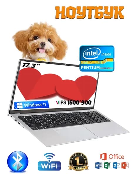 wonttr Ноутбук 17.3", Intel Pentium Gold 6500Y, RAM 16 ГБ, SSD 256 ГБ, Intel UHD Graphics 615, Windows Pro, (1), серебристый, Русская раскладка