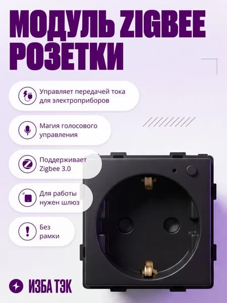 Умная розетка Zigbee, модуль без рамки, с заземлением и шторками, 16А, черная