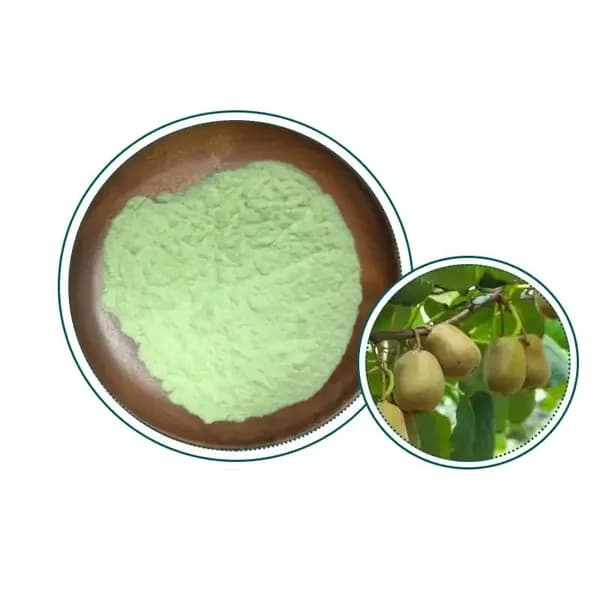 100 г-1000 г Порошок экстракта фруктов киви , Kiwi Fruit Powder