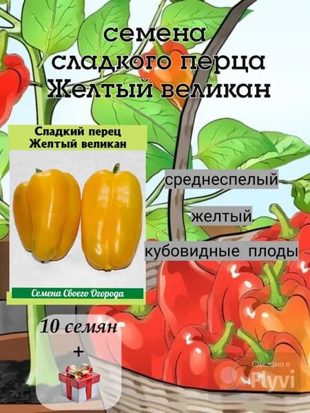 Семена сладкого перца Желтый великан, среднеспелый, ярко-желтый, 10 семян