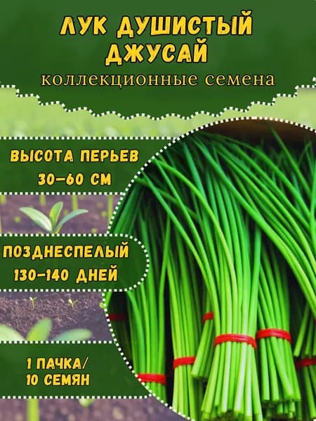 Семена "Лук Душистый Джусай", 10 семян