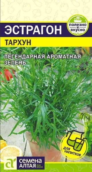 Эстрагон Тархун (Семена Алтая) Легендарная зелень!