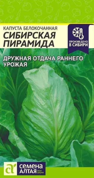 Семена Капуста Сибирская Пирамида/Семена Алтая/цп 0,3 гр.