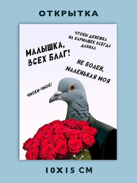 Открытка с Днем Рождения смешная с голубем и розами / Прикольная открытка подруге парню