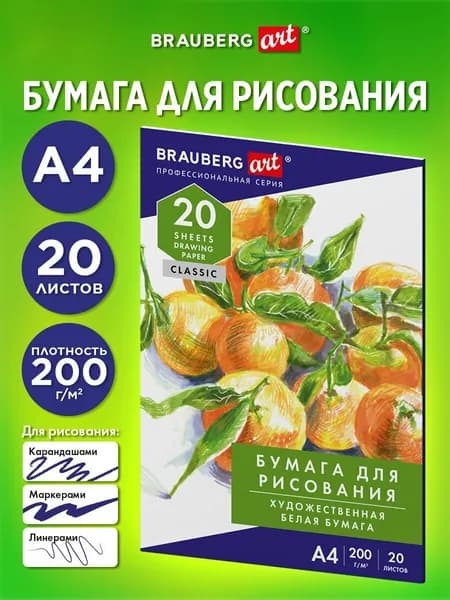 Бумага А4 для рисования, черчения, скетчинга и нейрографики в папке художественная плотная, набор 20 листов для творчества и школы, 200 г м2, Brauberg Натюрморт