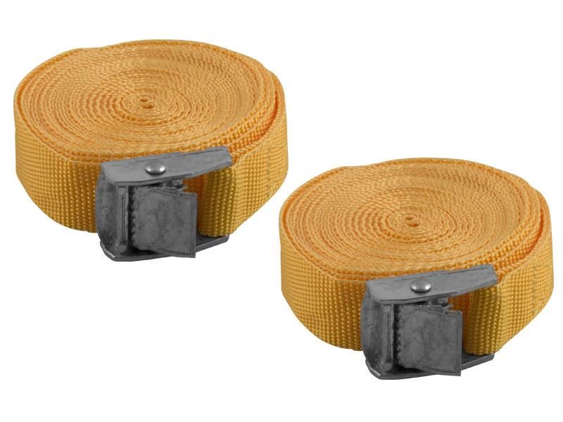 Стяжка для крепления груза DolleX, (2,5 м х 25 мм) 0,25 т, с фиксатором (уп. 2 шт.), арт. ST-252508