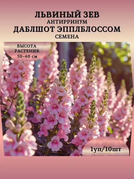 Львиный зев "Даблшот Эпплблоссом" семена, 1 пачка