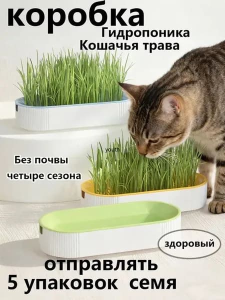 Экологичная травница для кошек с семенами, 5 пакетов
