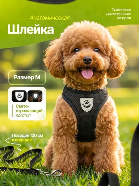 Шлейка для кошек собак мелких пород с поводком, размер M