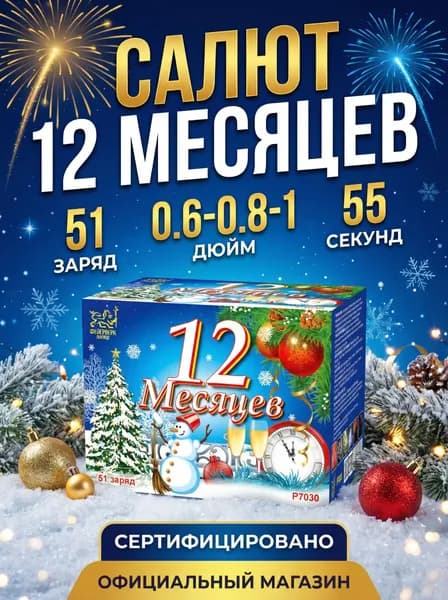Салют фейерверк 12 Месяцев, 51 залп, 0.6*42; 0.8*5; 1.0*4 дюйм, P7030