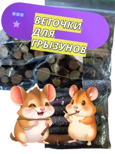 Лакомство для грызунов и птиц. Свежие Веточки для шиншилл, хомяков, кроликов и птиц из березы, ивы, ирга, малина, смородина, облепиха