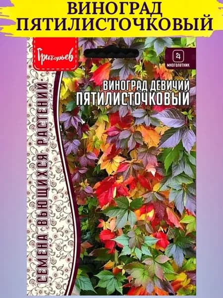 Девичий виноград семена Пятилисточковый