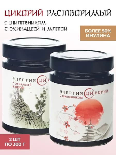 Набор растворимого цикория жидкого Энергия Ци шиповник, мята 2шт по 300гр