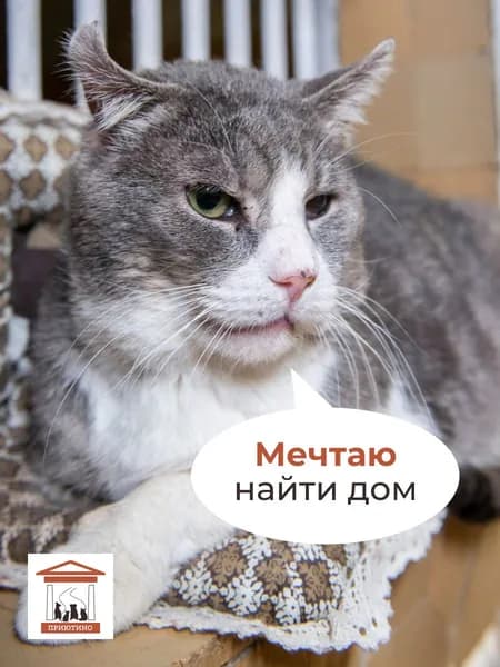 Помочь Джанни найти дом