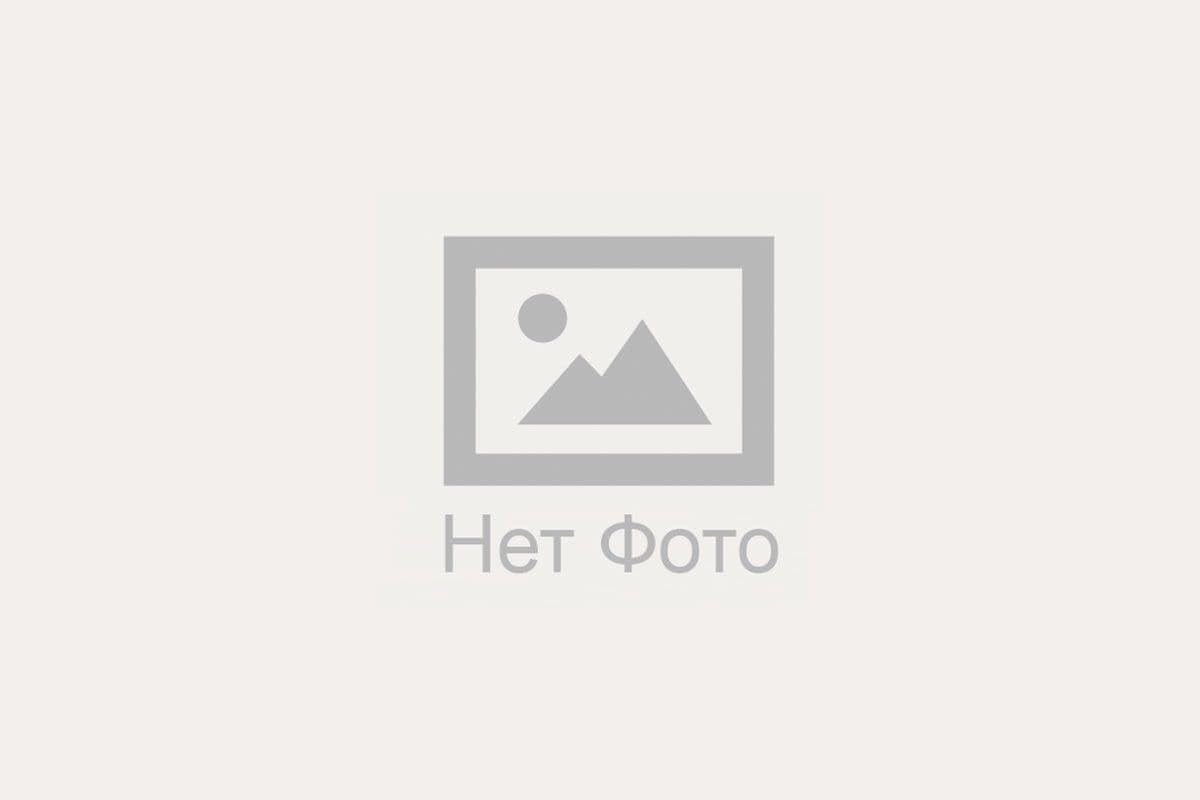 корпус подшипника распр.вала 7482-1006036 Камаз