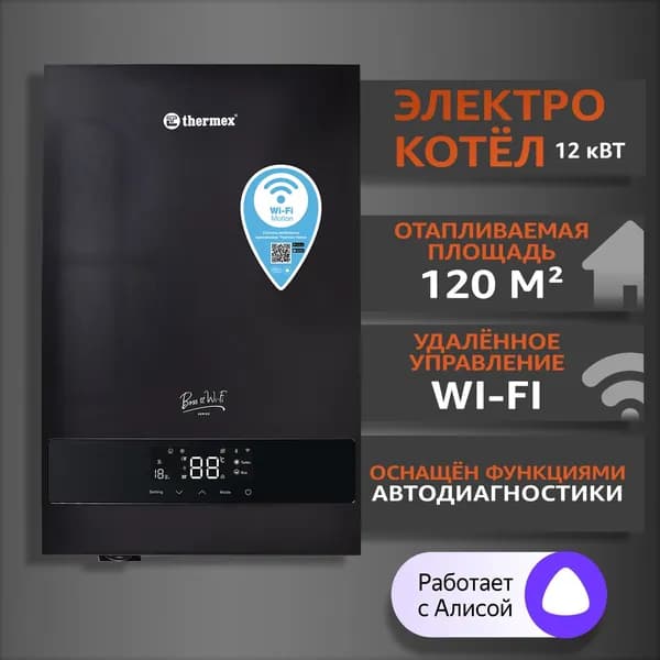 Электрический настенный котел THERMEX Boss 12 Wi-Fi черный