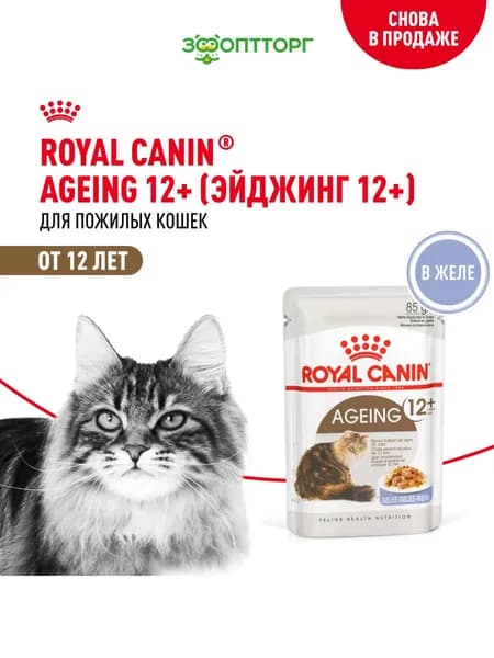 Влажный корм Royal Canin Ageing +12 для кошек старше 12 лет (кусочки в желе), с мясом, 85 гр