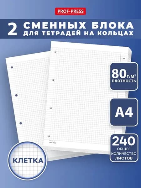 Сменный блок для тетради на кольцах А4 120 листов 2 штуки