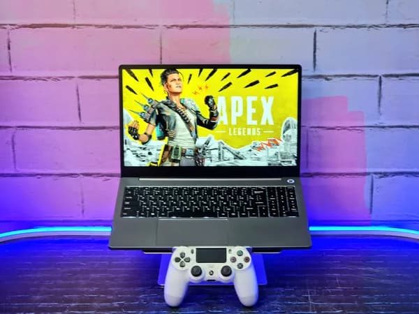 F+ Ноутбук 15.6", AMD Ryzen 5 5600U, RAM 8 ГБ, SSD 256 ГБ, AMD Radeon RX Vega 7, Windows Home, серый, Русская раскладка