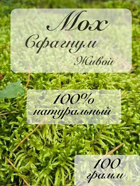 Мох сфагнум живой , 100 гр