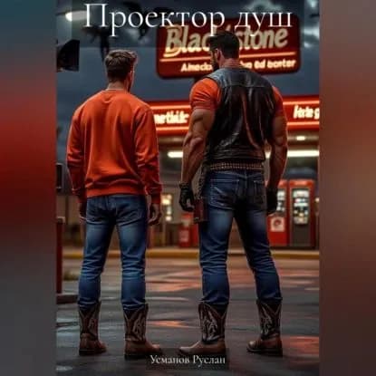 Проектор душ | Руслан Рифович Усманов | Электронная аудиокнига
