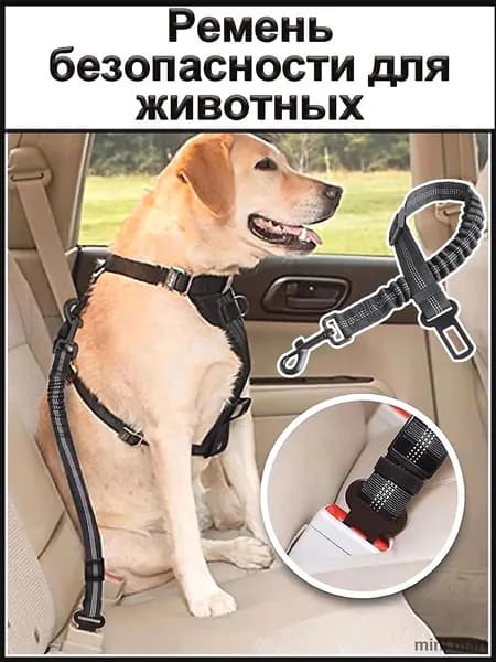 Усиленный, универсальный автомобильный ремень безопасности для животных, для малых пород с амортизацией. Длина 35-75см