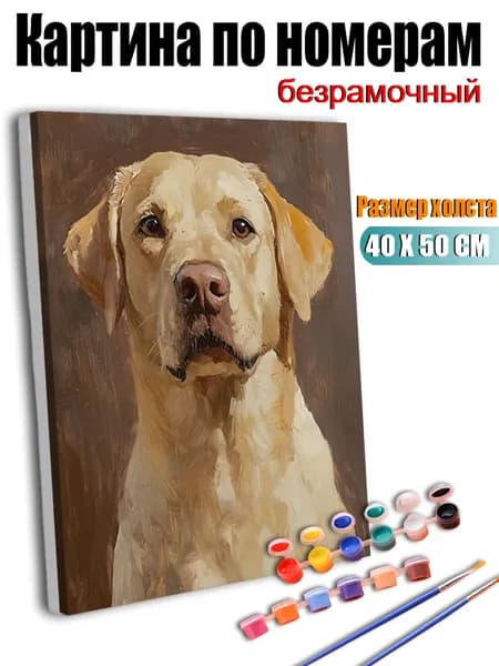 Картина по номерам 40х50 см без подрамника, антистресс ручная роспись, Изображение жёлтого лабрадора-ретривера, домашний декор