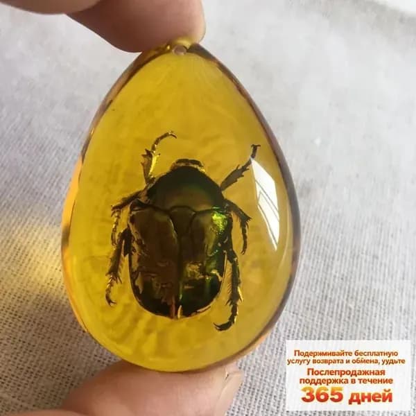 Окаменевшие экземпляры древнего янтарного жука