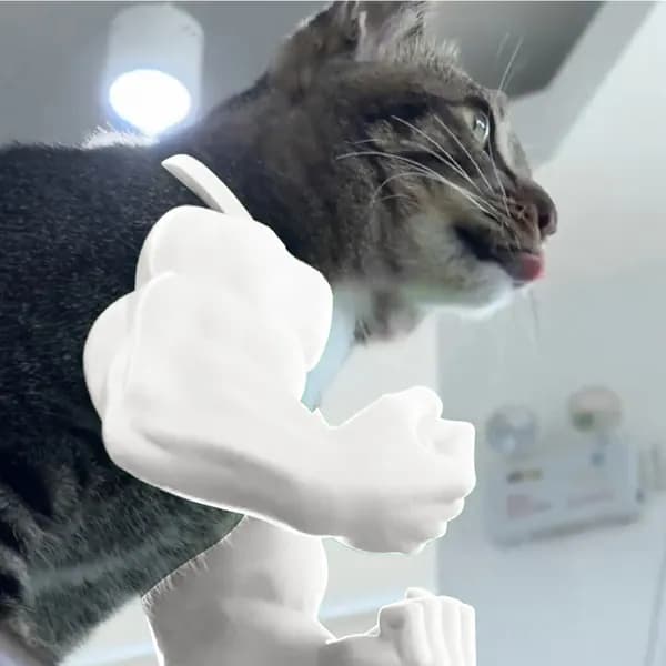 3D-печать мышечная рука кота на шею белого цвета