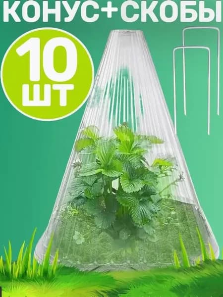 Форма для выращивания овощей19 х 19мм, ABS пластик, 10 шт
