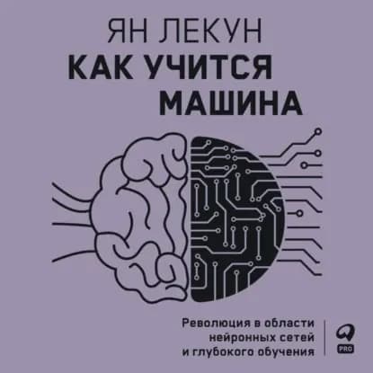 Как учится машина. Революция в области нейронных сетей и глубокого обучения | Лекун Ян | Электронная аудиокнига