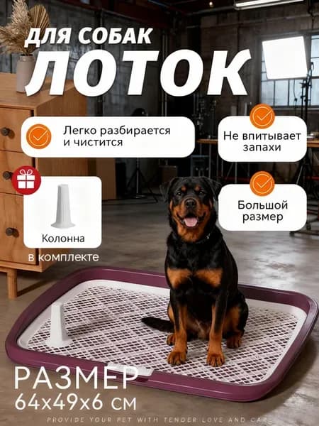 Лоток для собак под пеленку большой