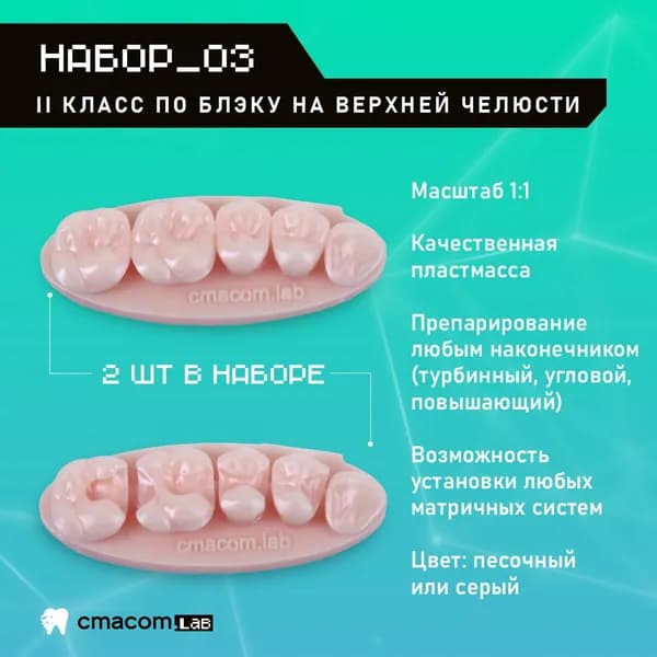 Набор#3 Модели для реставрации зубов/2 штуки/4 зуба/ тренировочные модели