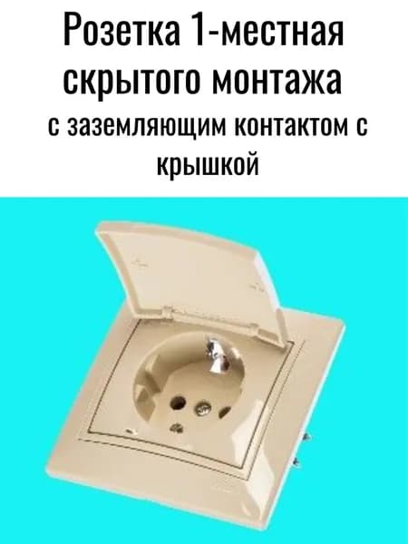 Розетка 1-местная скрытого монтажа с заземляющим контактом с крышкой