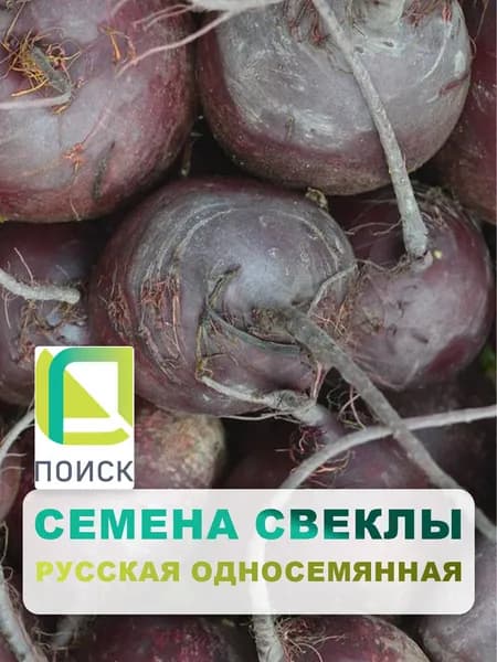 Семена Свекла столовая "Русская односемянная", 3 гр, для дома, дачи и огорода, в открытый грунт, овощи из семян.