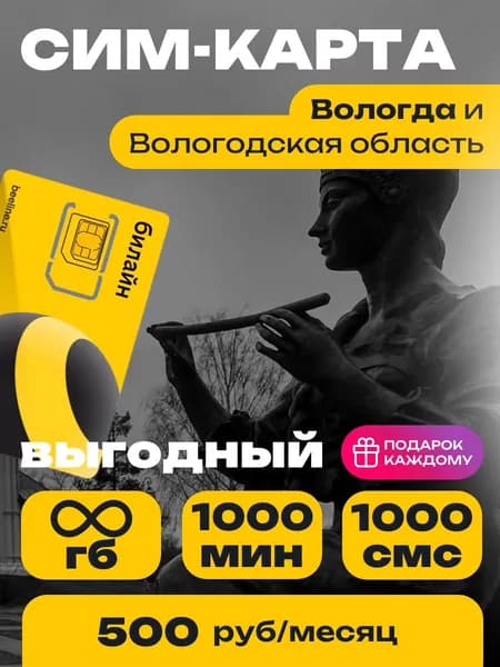 Сим-карта Билайн тариф Выгодный Вологодская область Безлимитный интернет и 1000 минут за 500 руб.