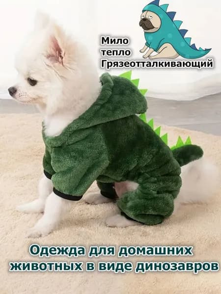 Одежда для животных