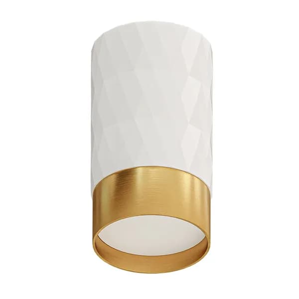 Arte Lamp Точечный накладной светильник FANG A5658PL-1WH GU10 белый