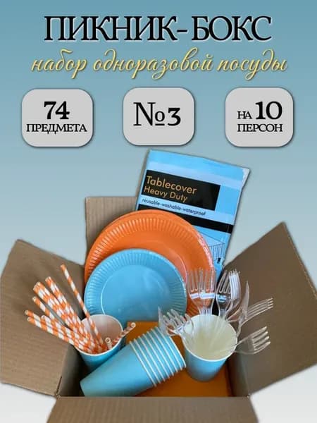 Набор одноразовой посуды Пикник-Бокс №3