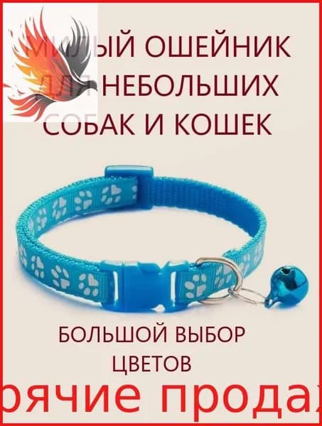 Ошейник