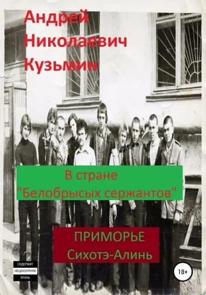 В стране белобрысых сержантов | Кузьмин Андрей Николаевич | Электронная книга